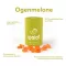 Ipalat Pastilles Flavour Edition Ogenmelon (40 vnt.)