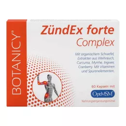 ZÜNDEX forte Complex su OptiMSM kapsulės, 60 kapsulių