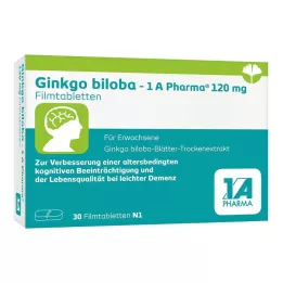 GINKGO BILOBA-1A Pharma 120 mg plėvele dengtos tabletės, 30 vnt