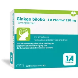 GINKGO BILOBA-1A Pharma 120 mg plėvele dengtos tabletės, 120 vnt