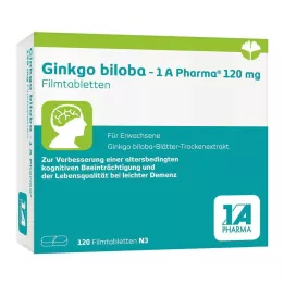 GINKGO BILOBA-1A Pharma 120 mg plėvele dengtos tabletės, 120 vnt