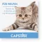 CAPSTAR 11,4 mg tabletės katėms ir mažiems šunims, 1 vnt