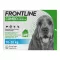 FRONTLINE COMBO nuo erkių, blusų šunims M (10-20 kg), 3 vnt