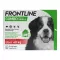 FRONTLINE Combo Spot on dog XL Odos aplikacijos tirpalas, 3 vnt