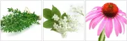 Instructions for use for RESTORIA IMMUN PLUS Kapsulės, 60 vnt - 2