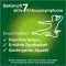 Instructions for use for nicorette kramtomoji guma freshmint, 2 mg nikotino, 210 vnt - 4