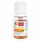 Doppelherz B12 + D3 Duo Active geriamosios ampulės, 8 vnt