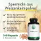 GREEN NATURALS Spermidinas 1,6 mg veganiškos kapsulės, 240 vnt