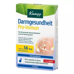 KNEIPP Žarnyno sveikata Pro-Immun kapsulės, 20 kapsulių