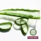 Plantana Aloe Vera Care dušo vonia su ekologišku alaviju, 500 ml