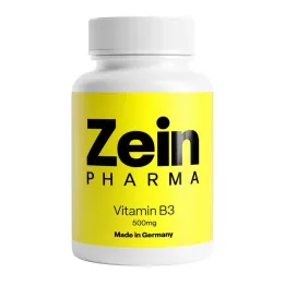 VITAMIN B3 FORTE Niacinas 500 mg kapsulės, 90 vnt