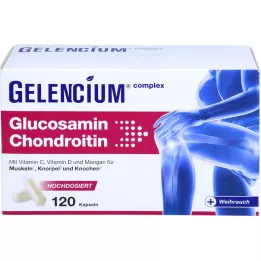 GELENCIUM Gliukozaminas Chondroitinas, didelė Vit C Kps dozė, 120 kapsulių