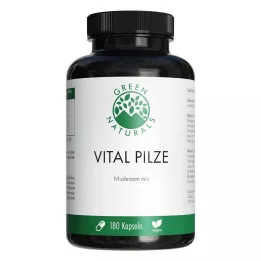 GREEN NATURALS Vital Mushrooms Cordyceps Reishi vegan, 180 vnt